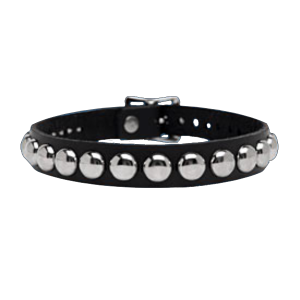 1-Row Dot Collar